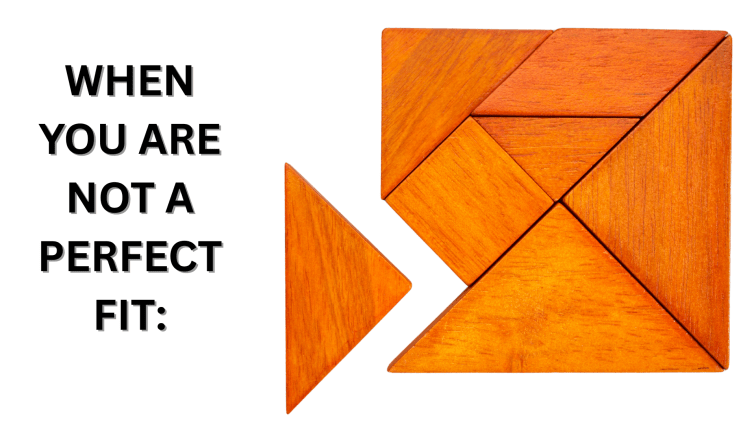 When You Are Not a Perfect&nbsp;Fit